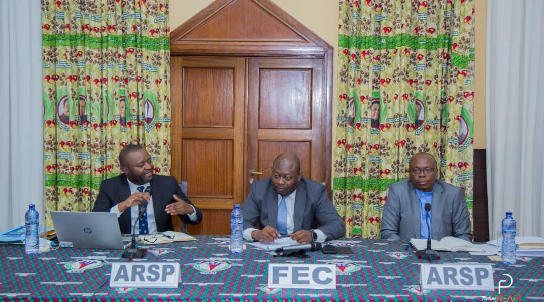 RDC : L’ARSP et la FEC déterminées à travailler ensemble pour la mise en application de la Loi sur la sous-traitance